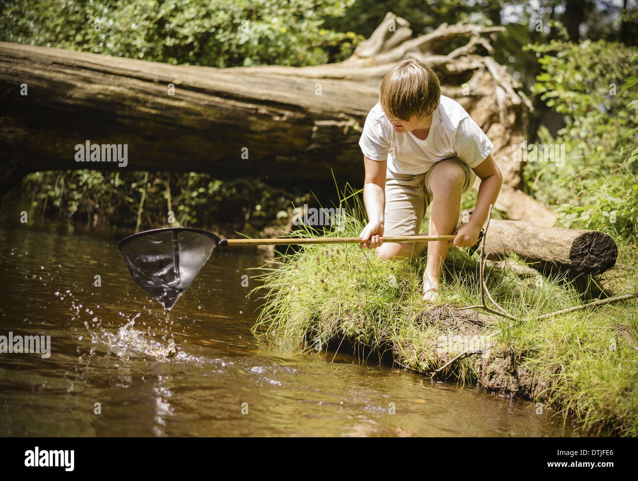 A boy kneeling by the river bank leaning over and using a small fishing net  Hampshire England Stock Photo