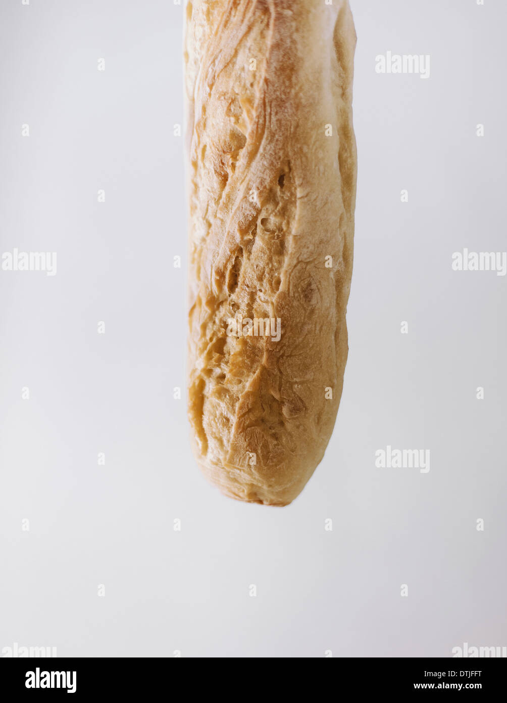 Close up of an organic baked sourdough baguette  Seattle King County Washington USA Stock Photo