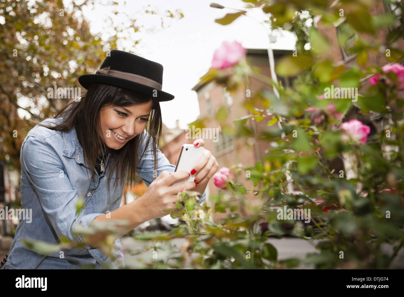 A girl in a brown trilby hat taking a picture of roses with a smart phone  Pennsylvania USA Stock Photo