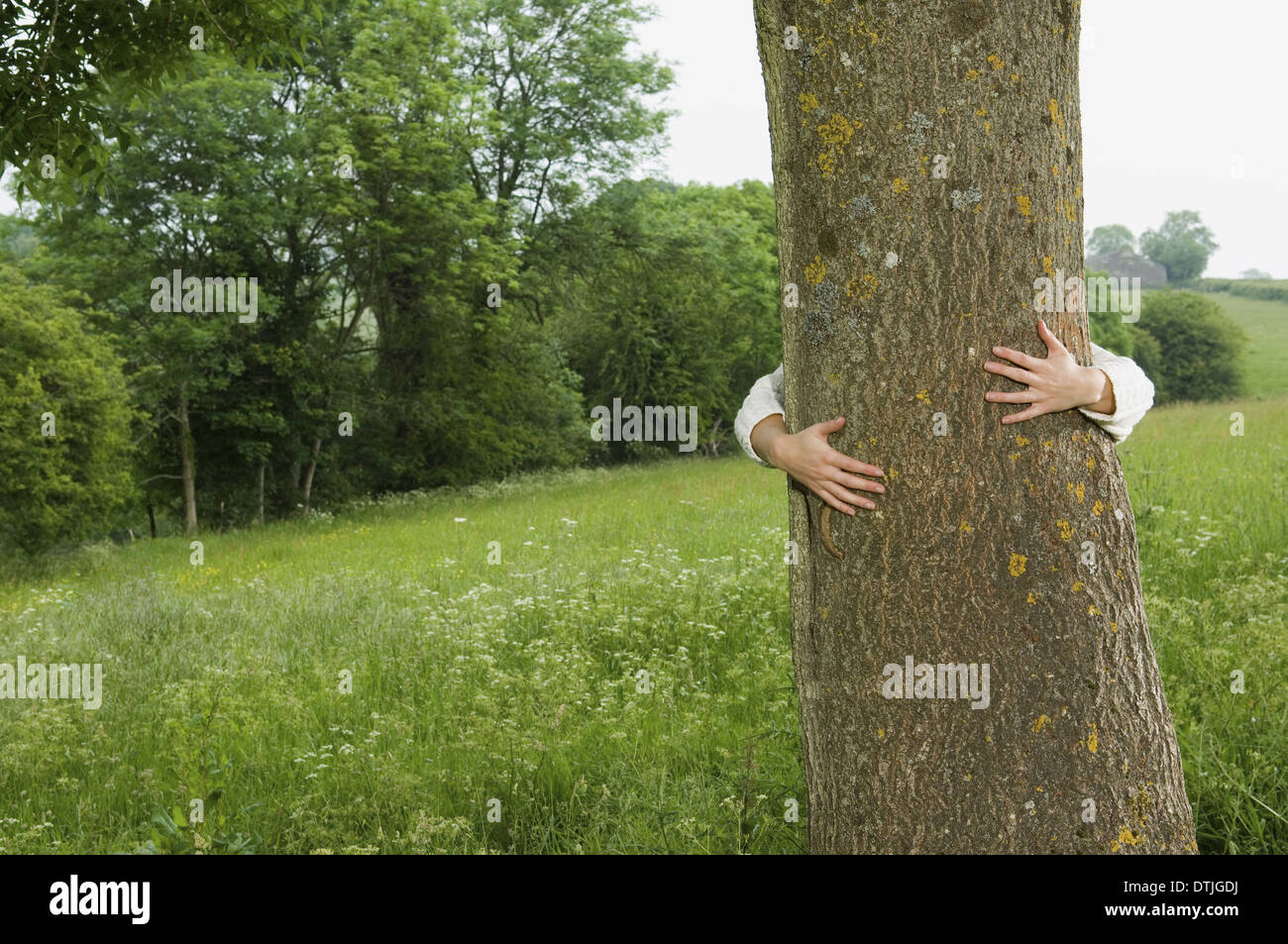 A person hugging a tree England Stock Photo Alamy