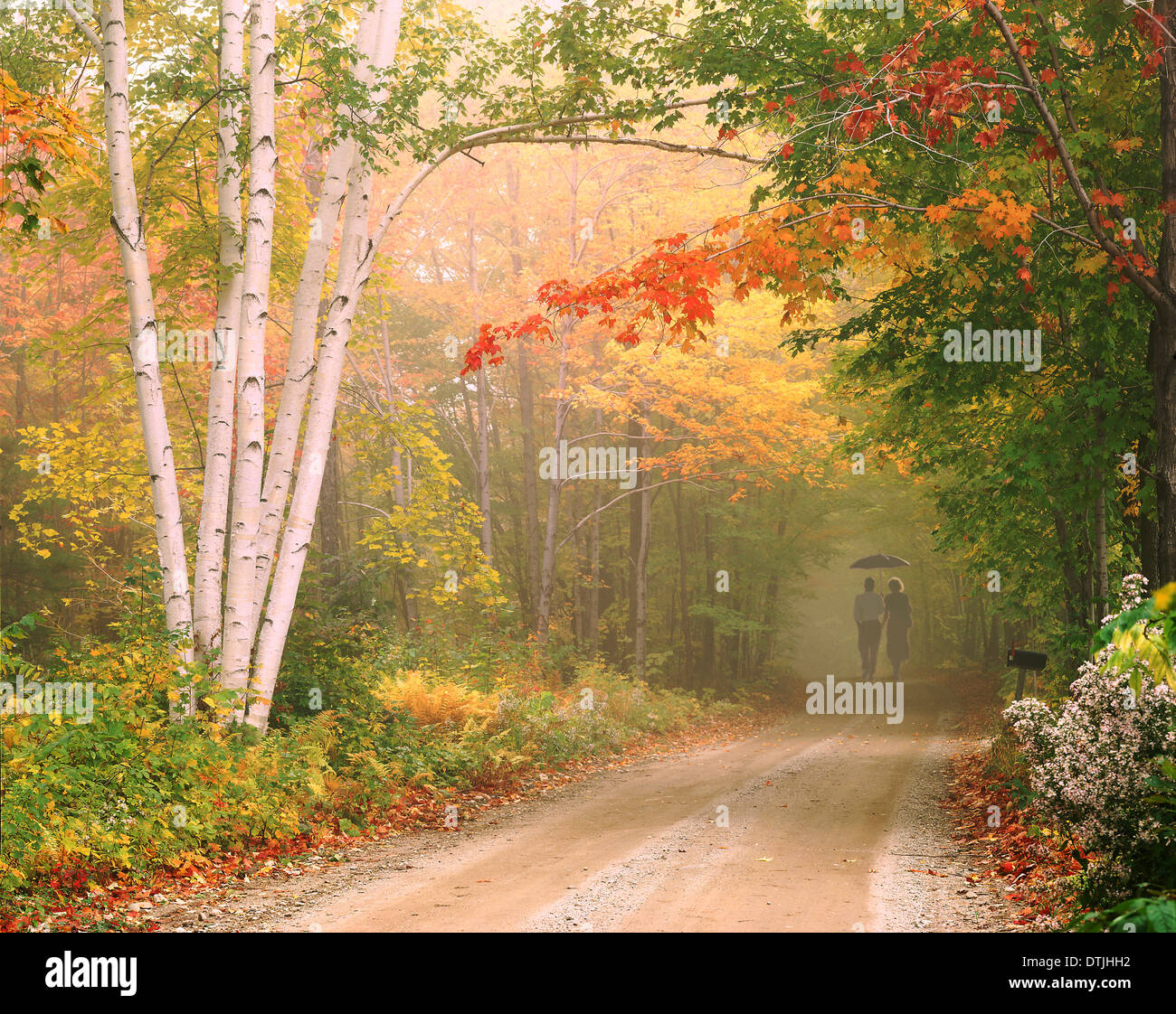Cilly Hill Road in Underhill, Vermont Stock Photo Alamy