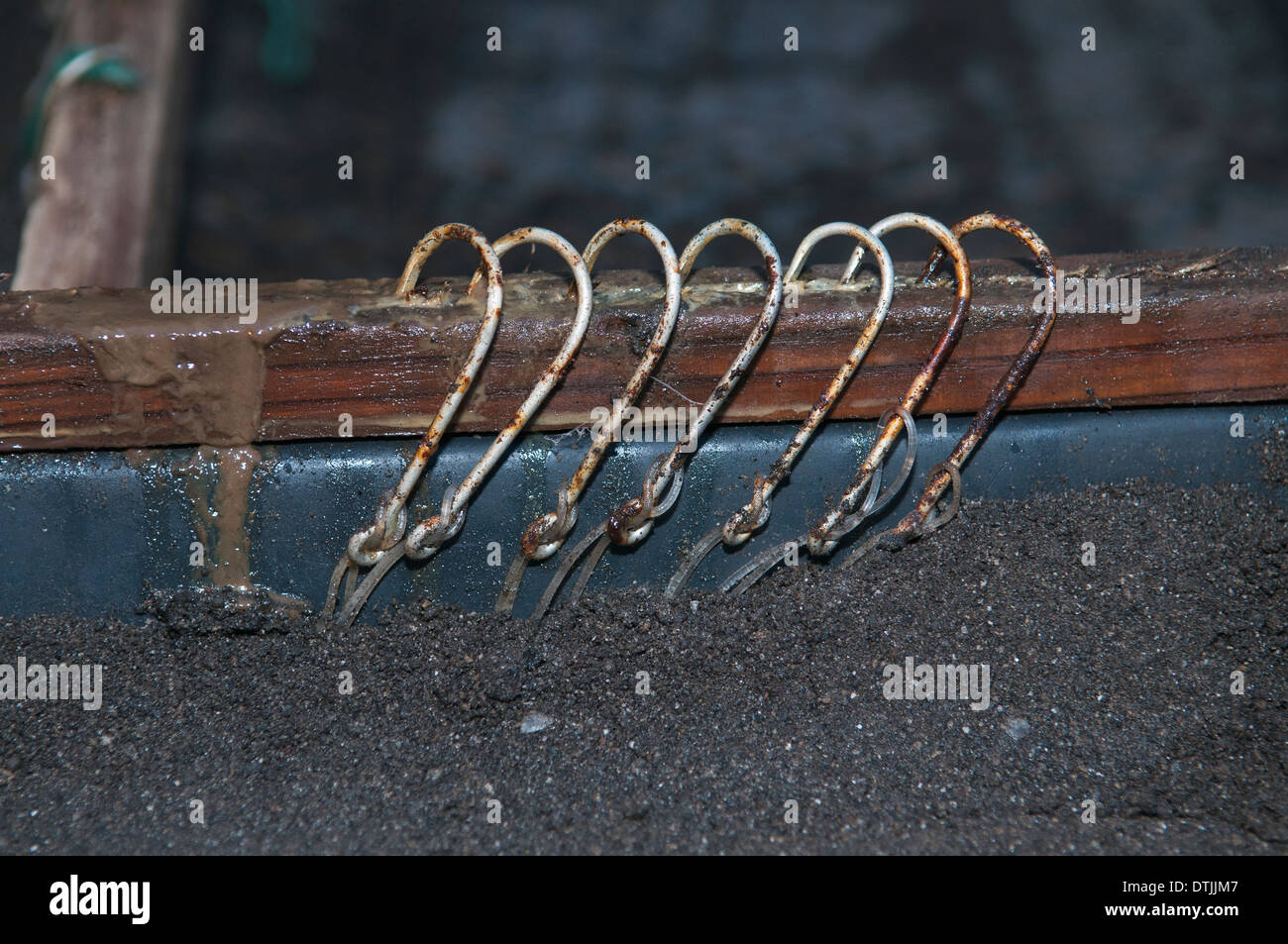 Hooks prepared for long-line fishing gear. Sao Miguel, Azores