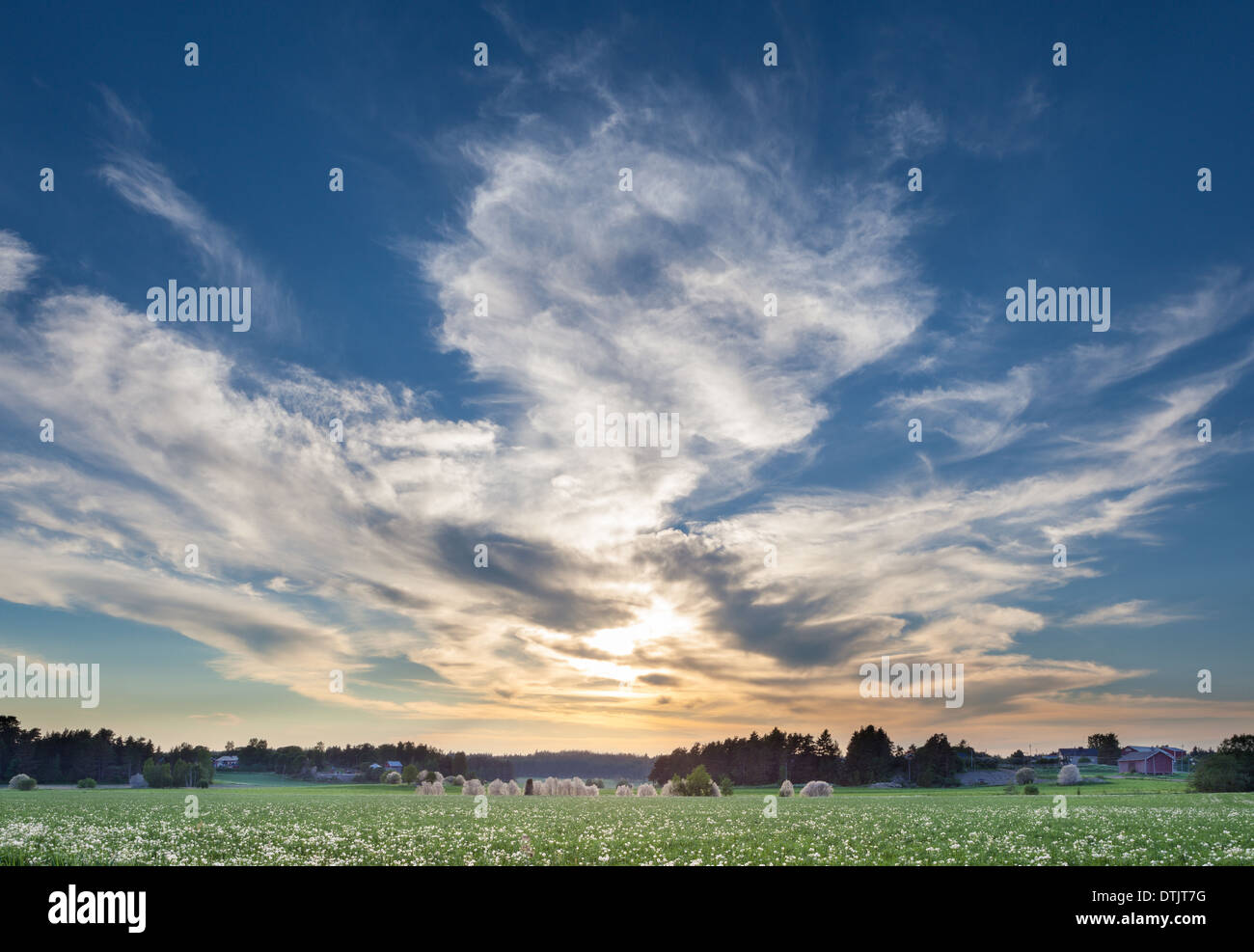Summery evening at countryside Stock Photo
