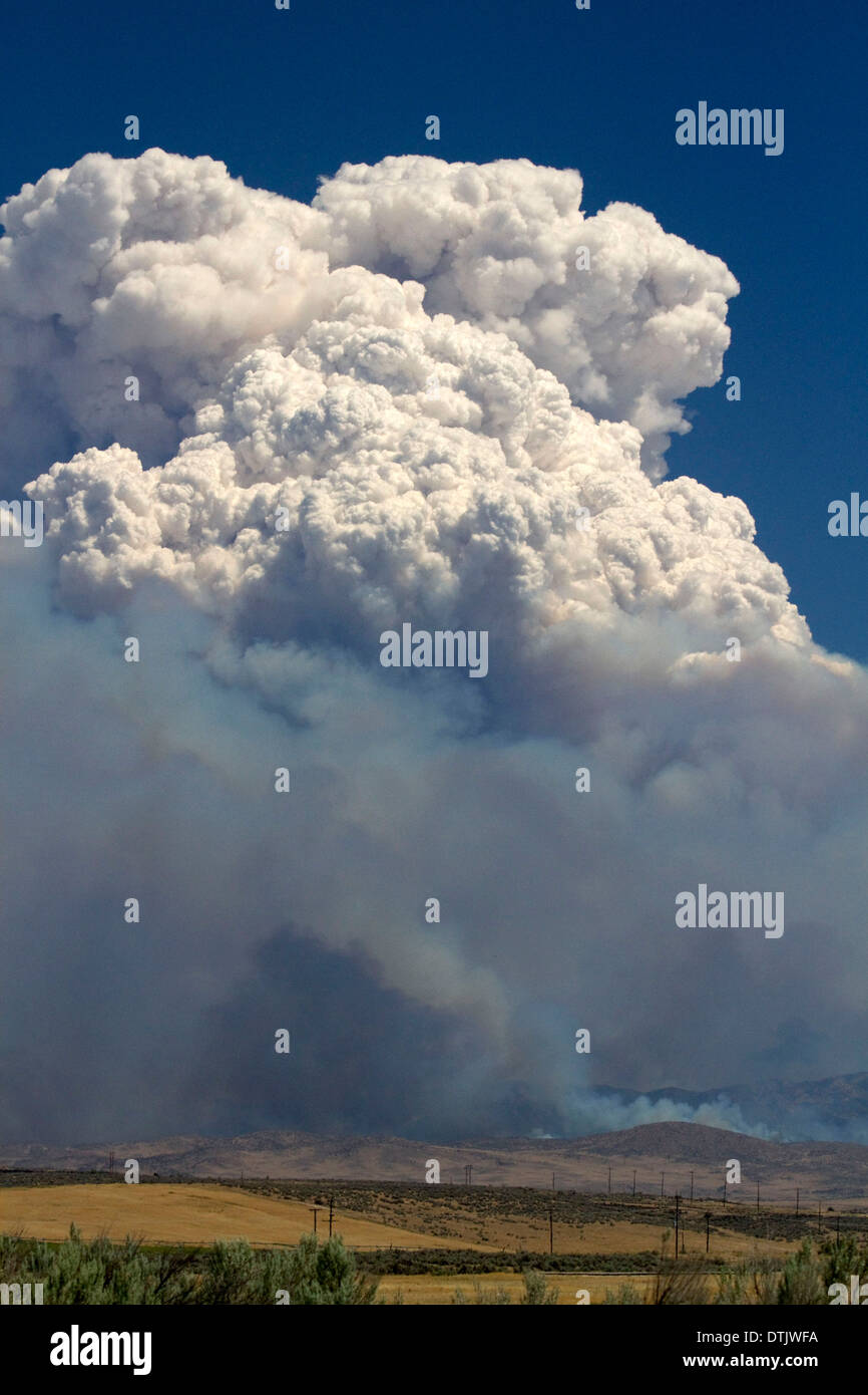 Pyrocumulus cloud created by a wildfire near Boise, Idaho, USA Stock ...