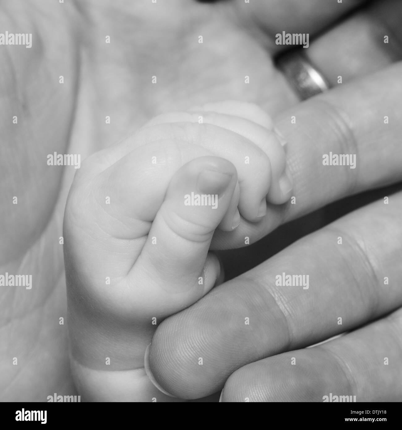 tiny baby's hand holding onto it's parents finger Stock Photo