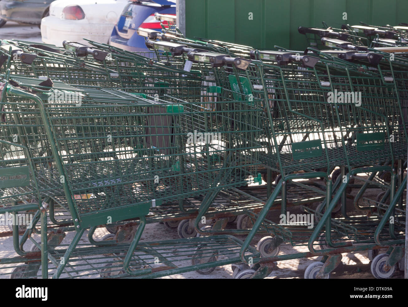 Shopping Carts at Food Basics grocery store Stock Photo