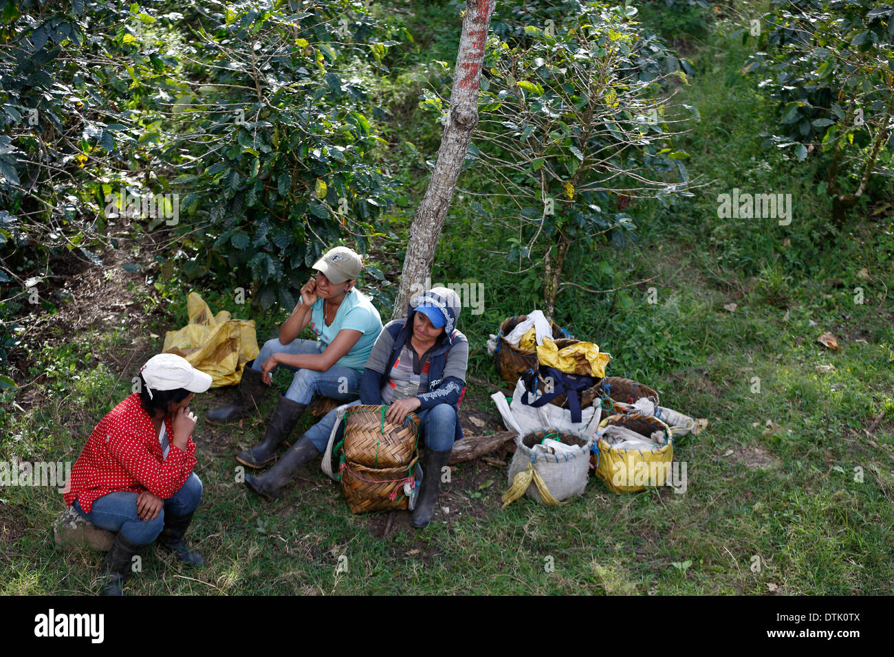 Workers take a break as they wait to have their day's coffee harvest tallied, northwest Nicaragua Stock Photo
