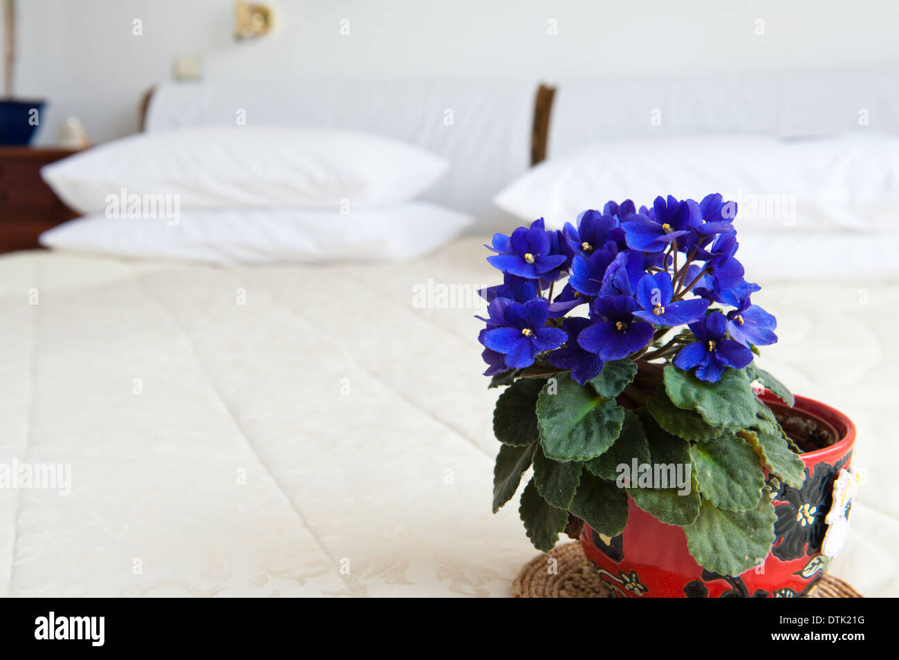 Details of flowers on the bed Stock Photo Alamy