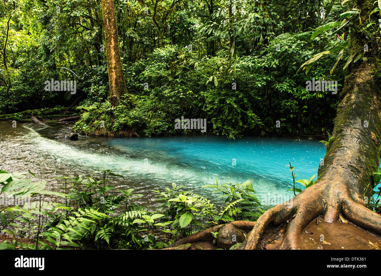 Cleste Riveti Rio celeste costa rica hi-res stock photography and images - Alamy