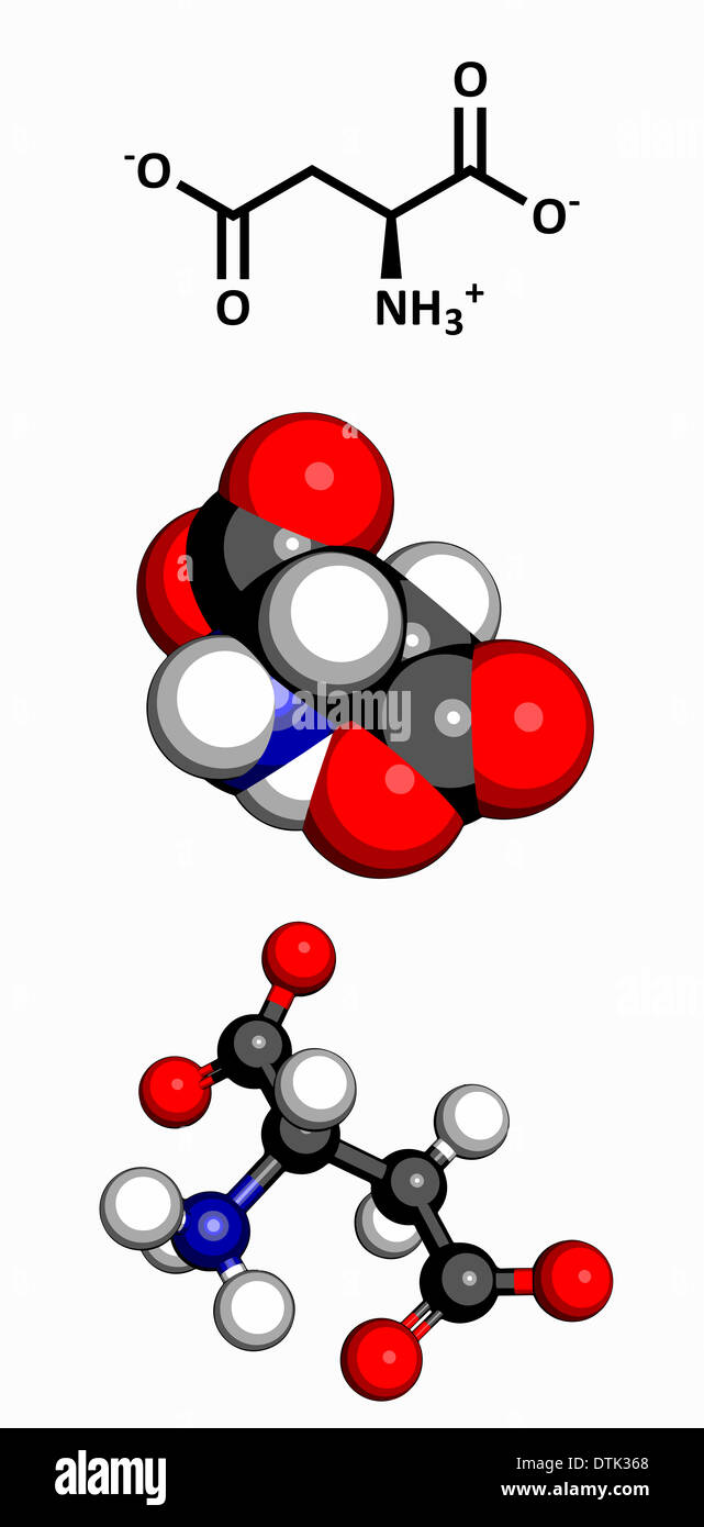 Aspartate hi-res stock photography and images - Alamy
