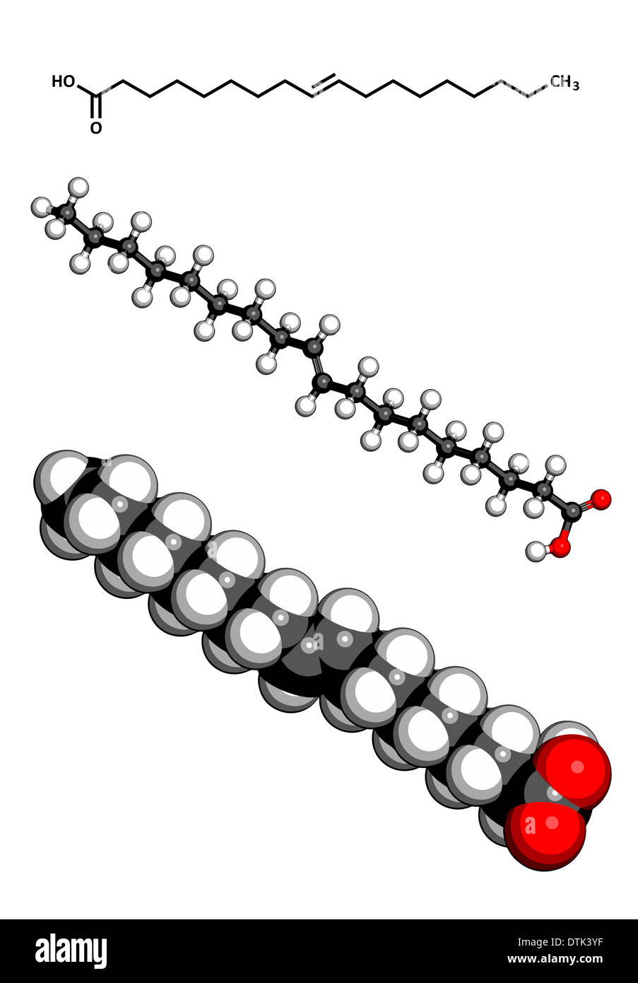 Hydrogenated vegetable oil structure