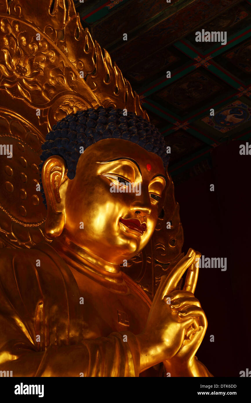 Golden Buddha statue inside a temple Stock Photo - Alamy