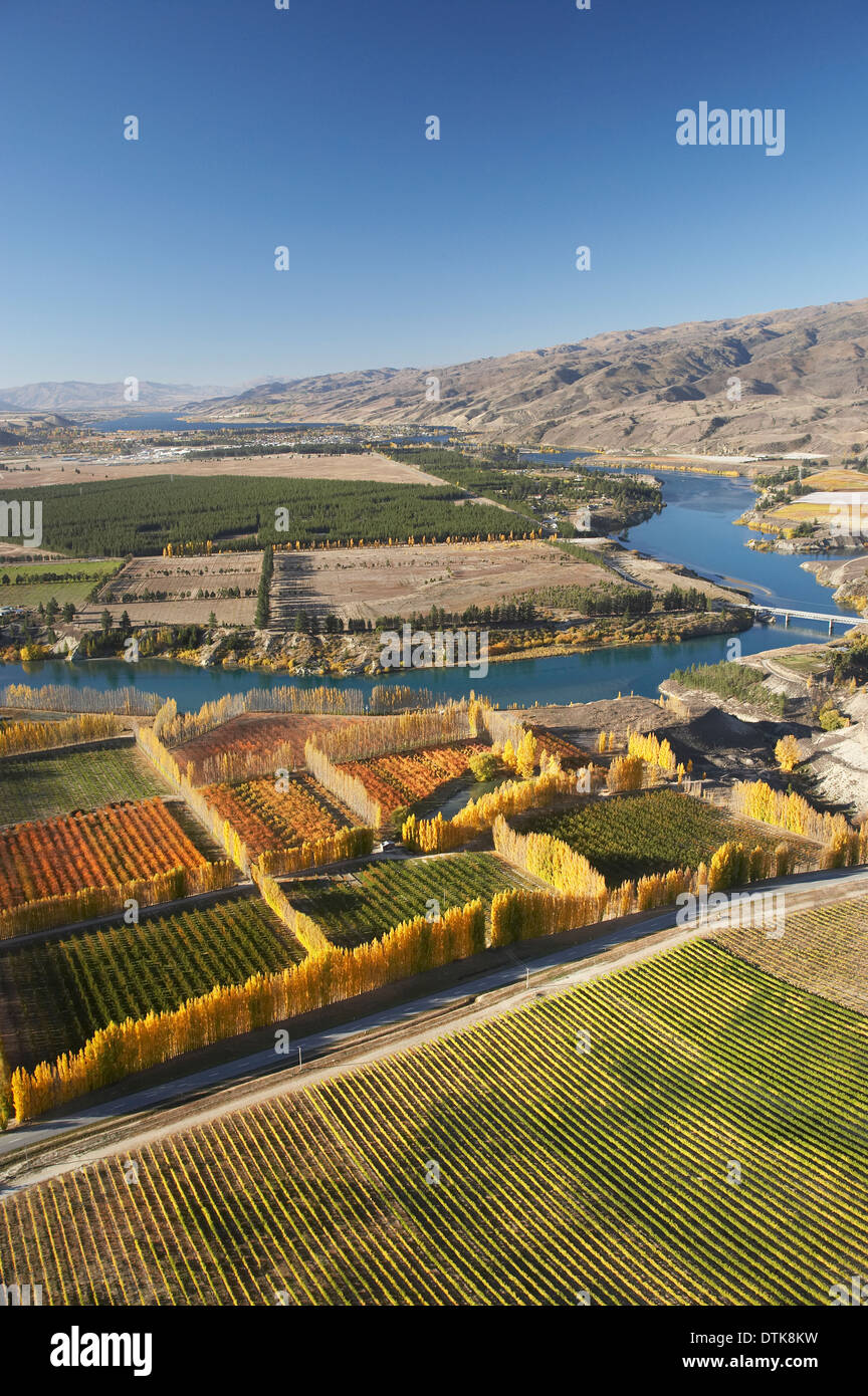 Orchards, Vineyards and Lake Dunstan, Bannockburn, near Cromwell, Central Otago, South Island, New Zealand - aerial Stock Photo