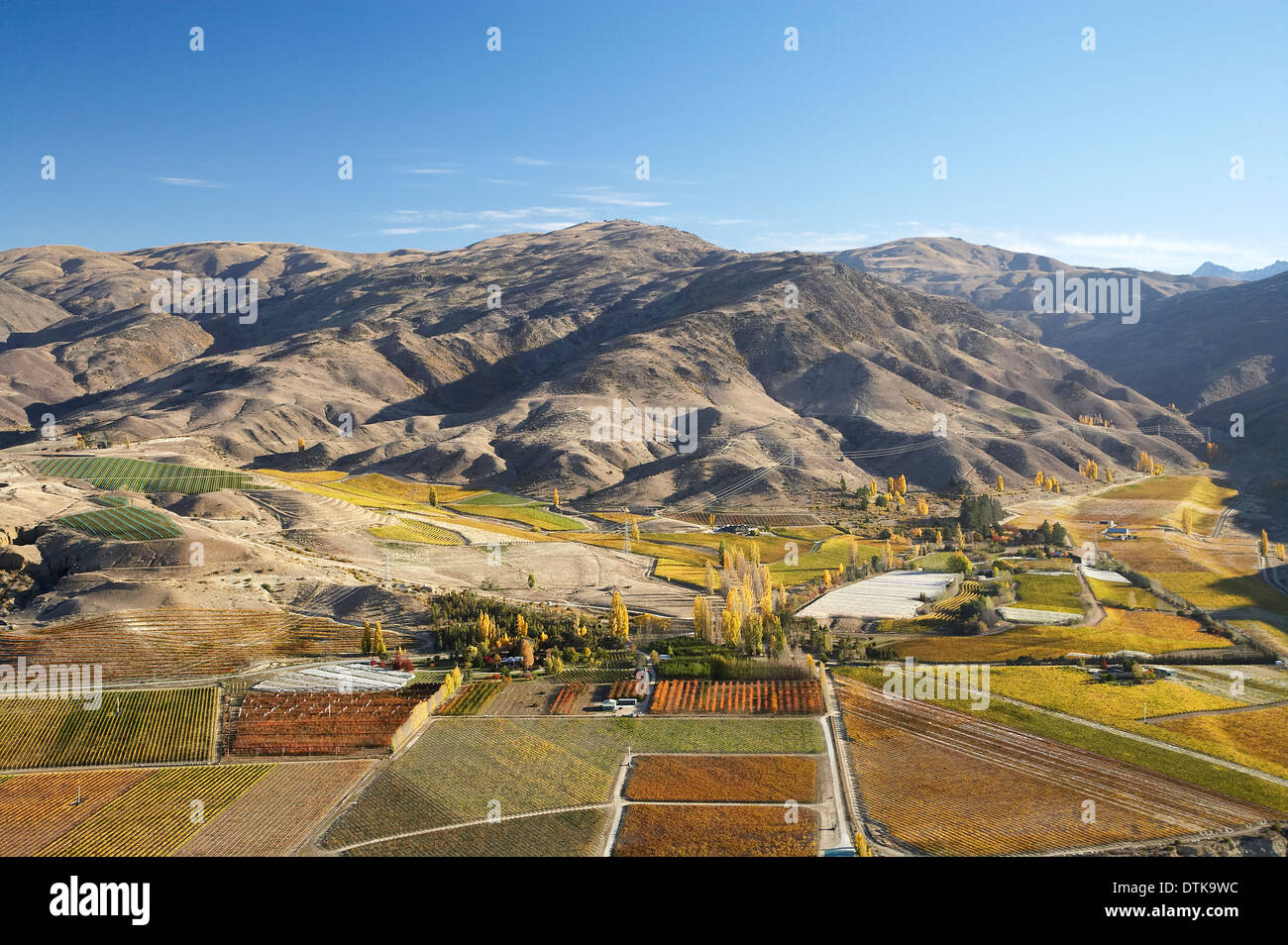 Vineyards, Bannockburn, near Cromwell, Central Otago, South Island, New Zealand - aerial Stock Photo