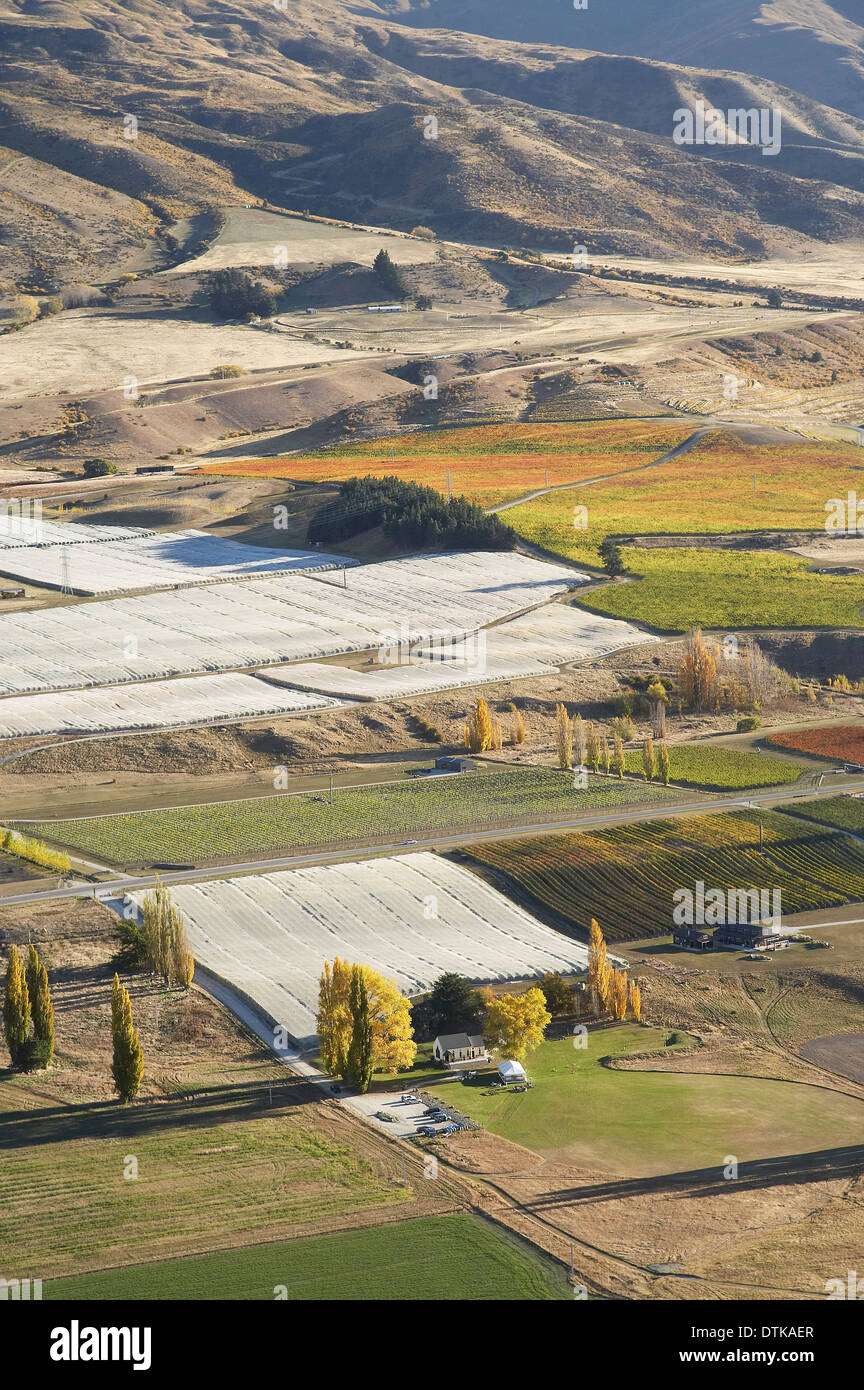 Waitiri Creek Wines and Vineyards, Gibbston Valley, Otago, South Island