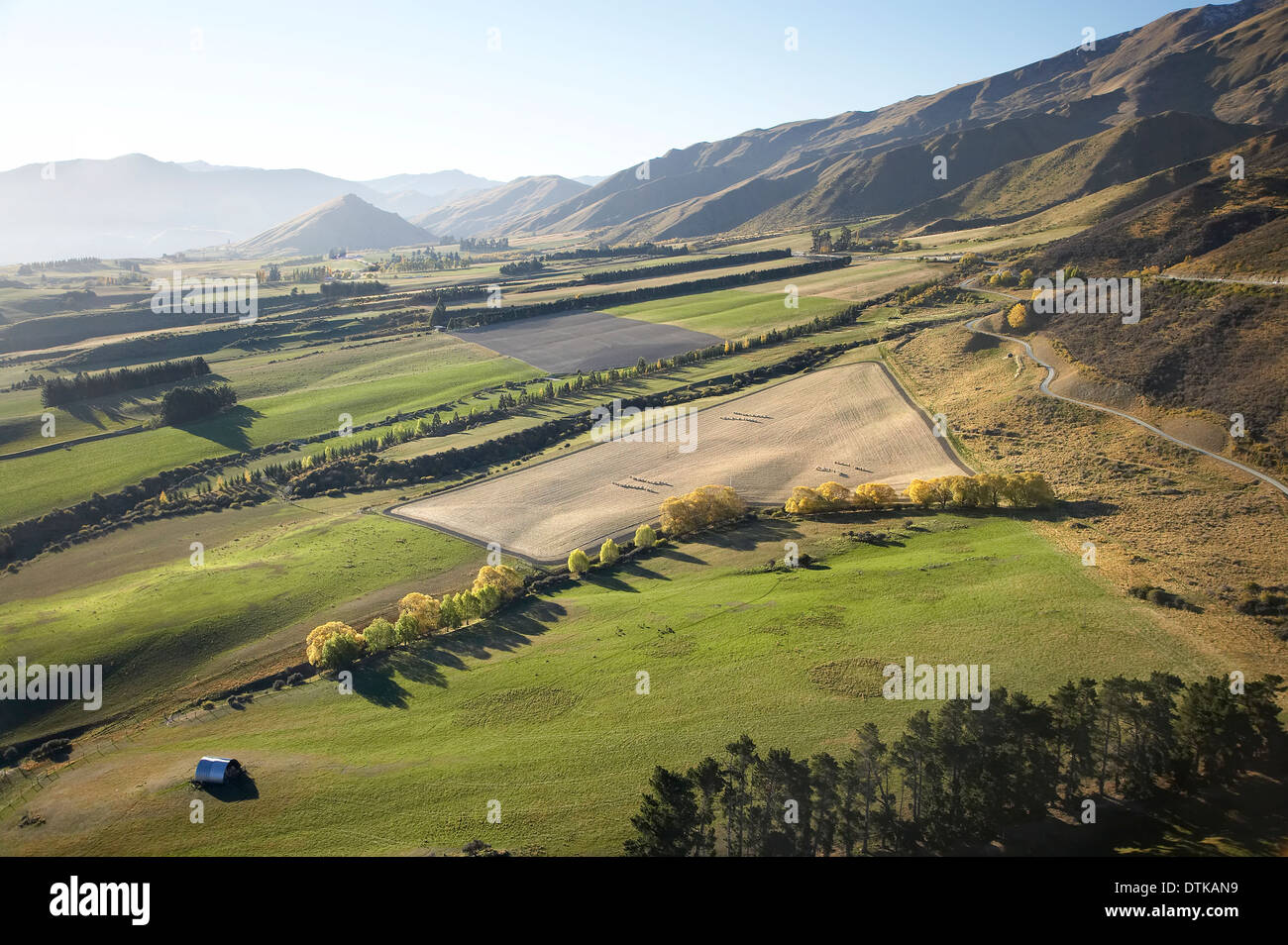 Farmland, Crown Terrace, Crown Range, near Arrowtown, Otago, South Island, New Zealand - aerial Stock Photo