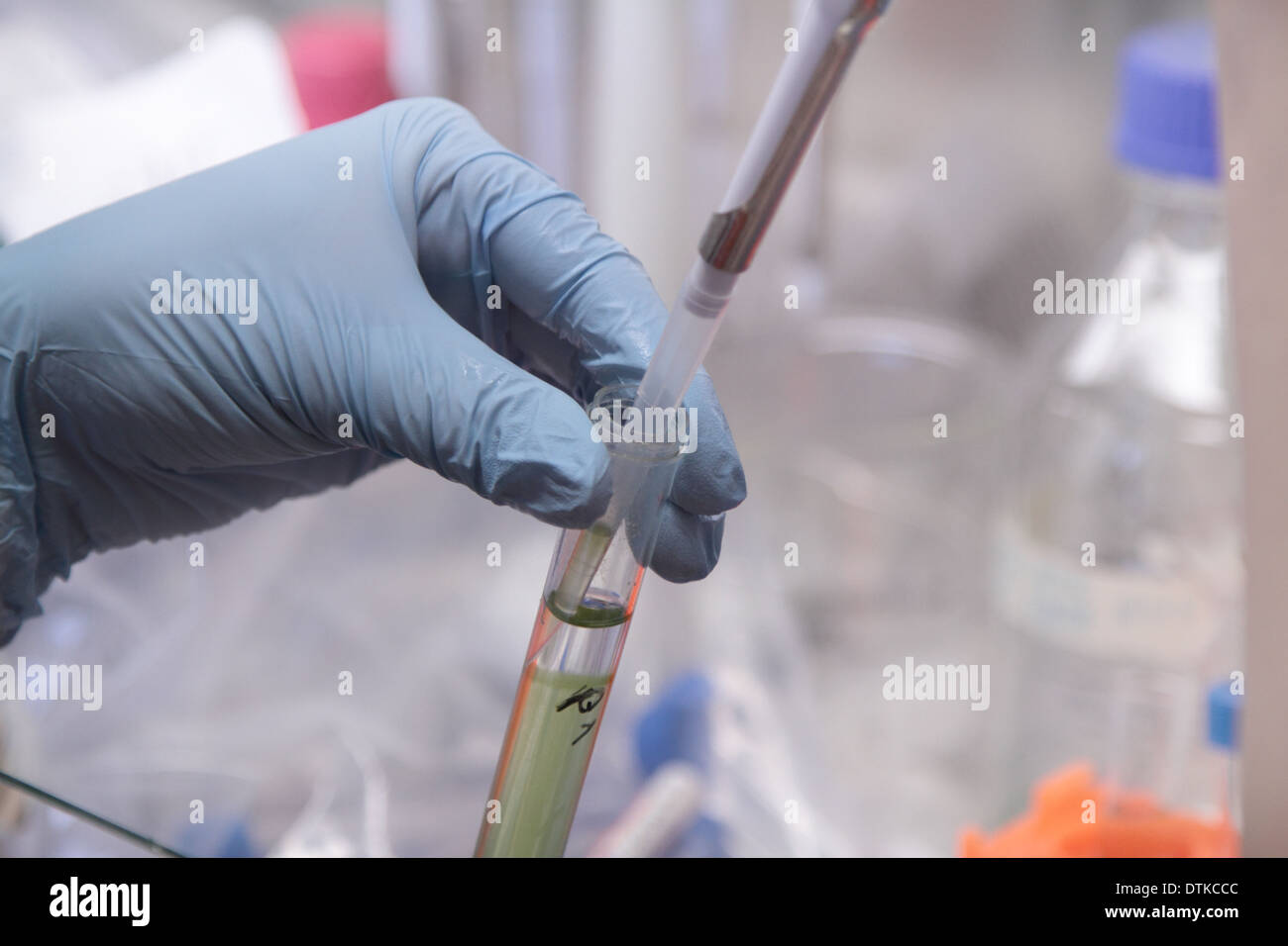 work in a lab with lab tools Stock Photo Alamy