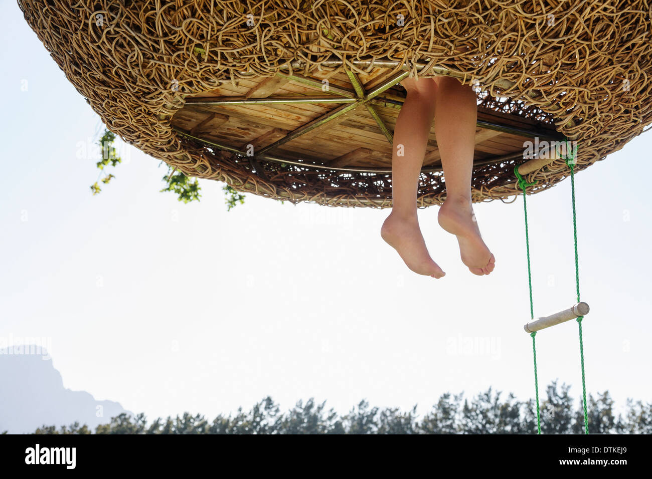 Woman's feet dangling out of nest tree house Stock Photo