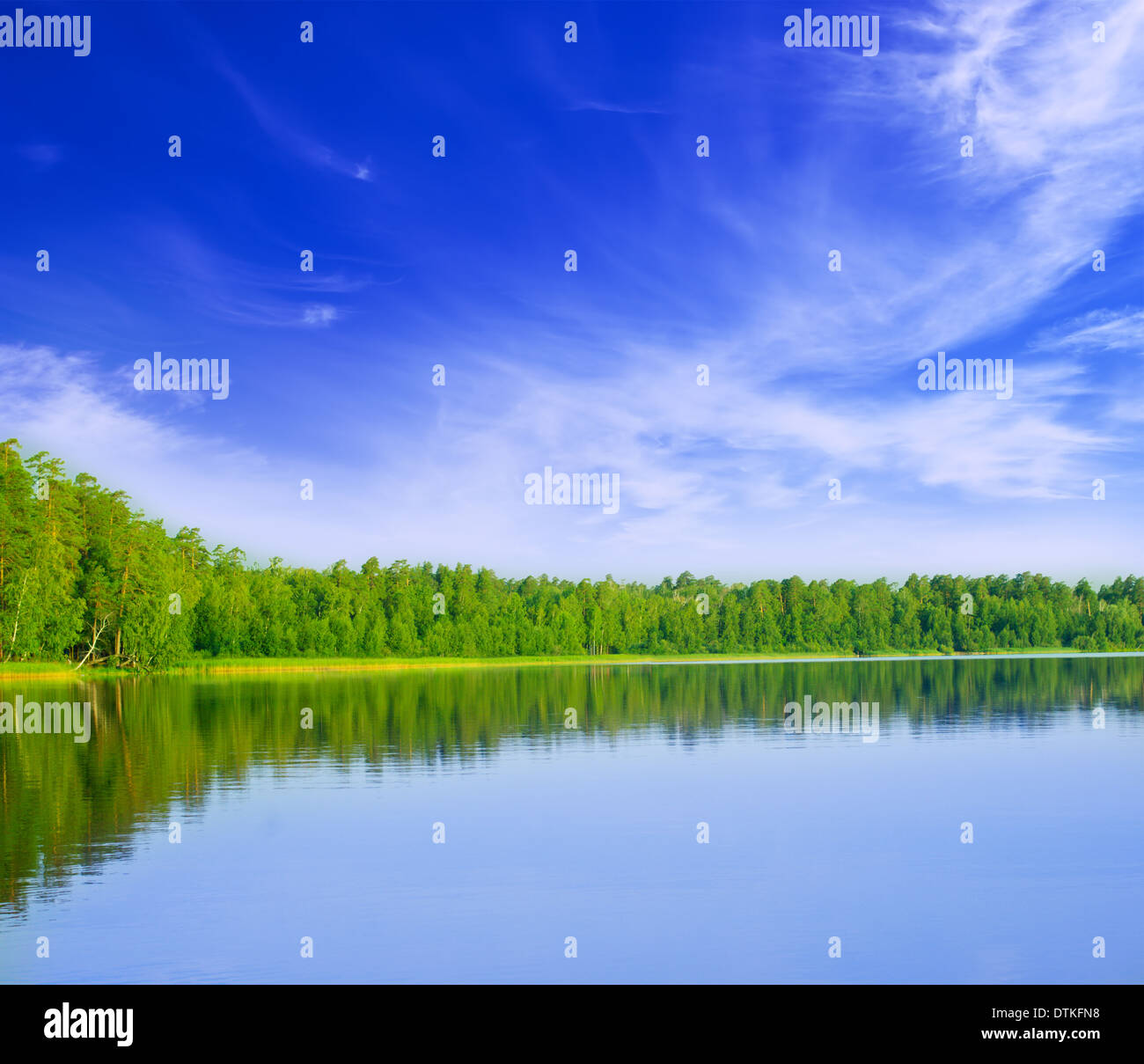 Forest lake under blue cloudy sky Stock Photo - Alamy