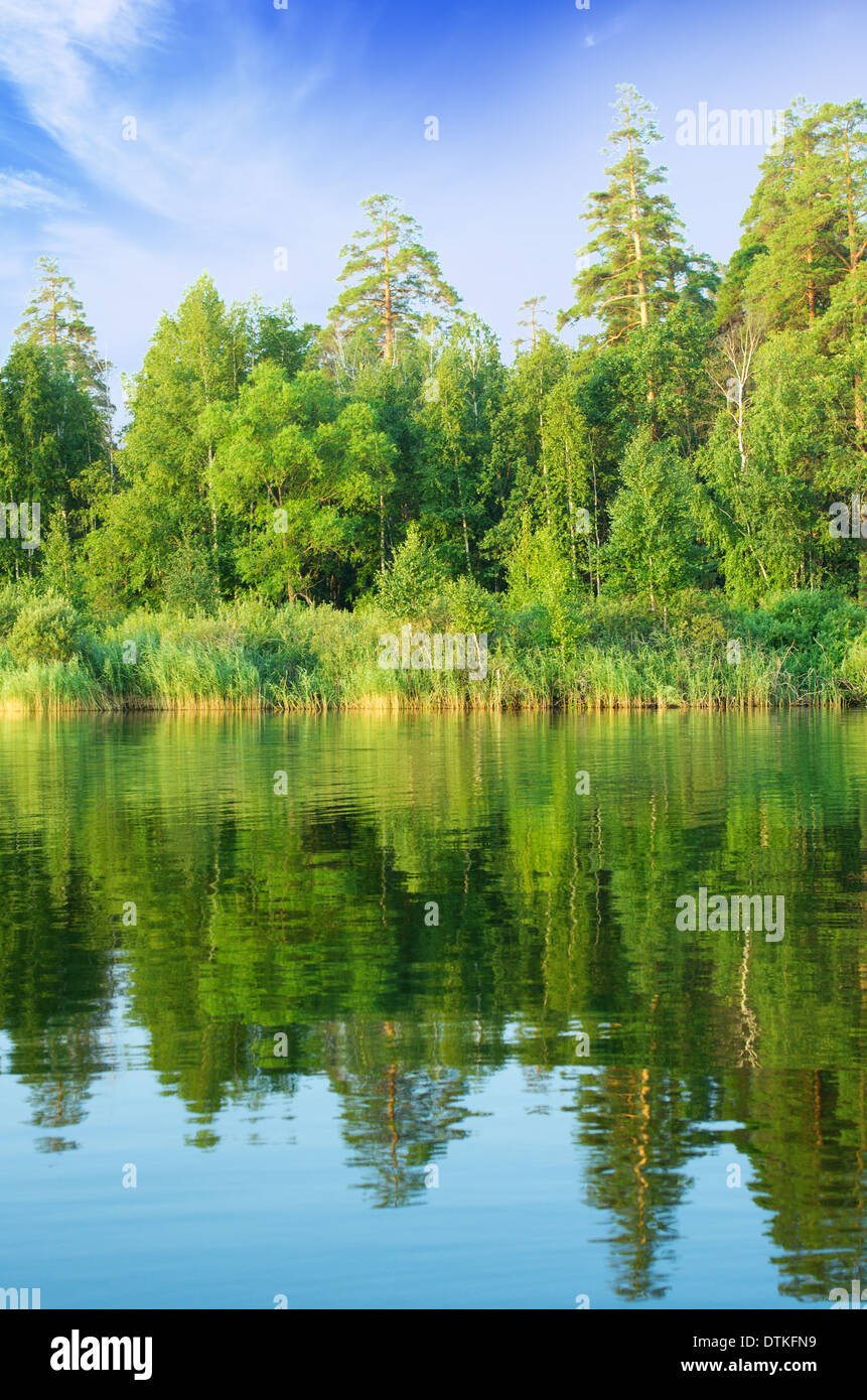 Forest lake under blue cloudy sky Stock Photo - Alamy