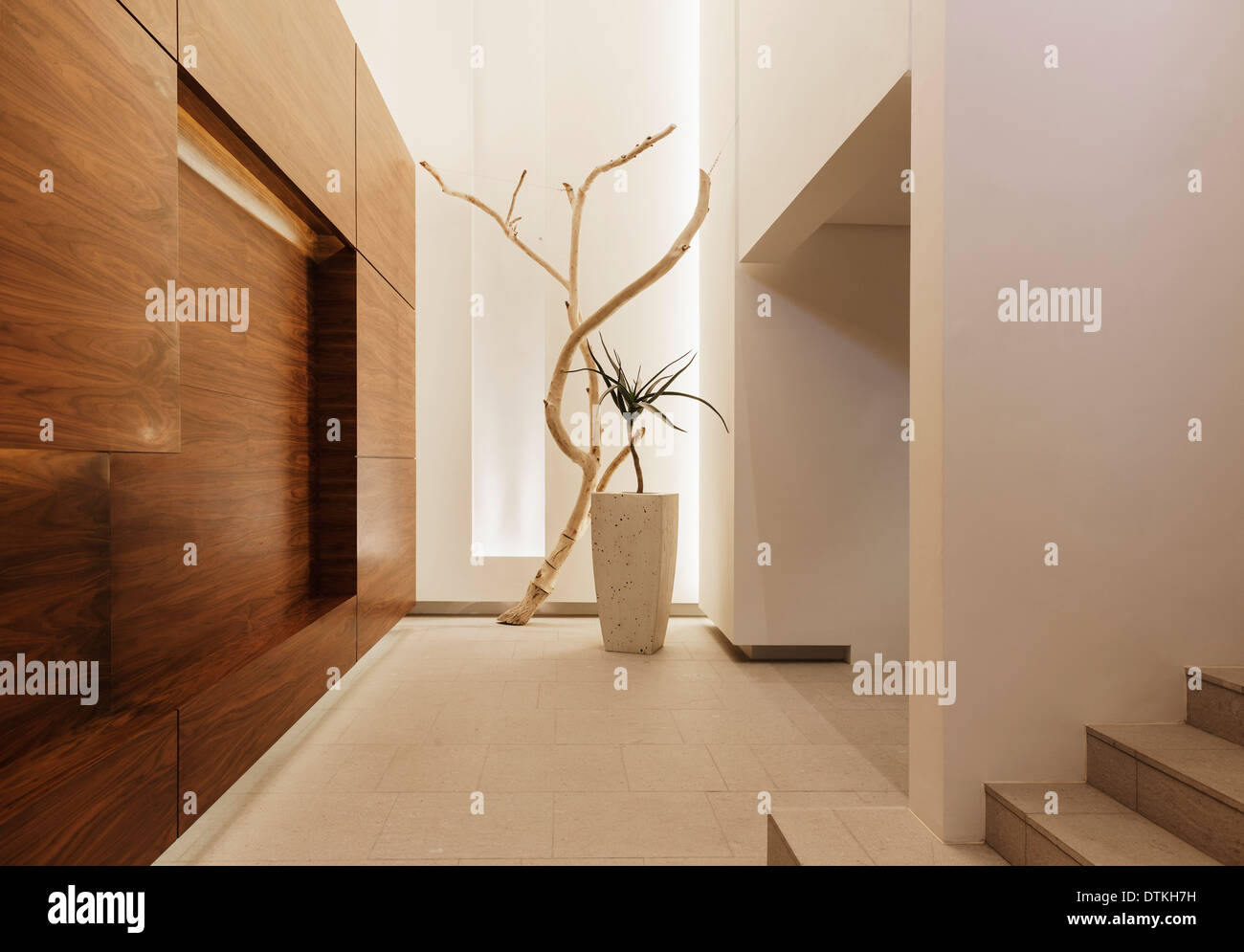 Entrance in modern house Stock Photo - Alamy