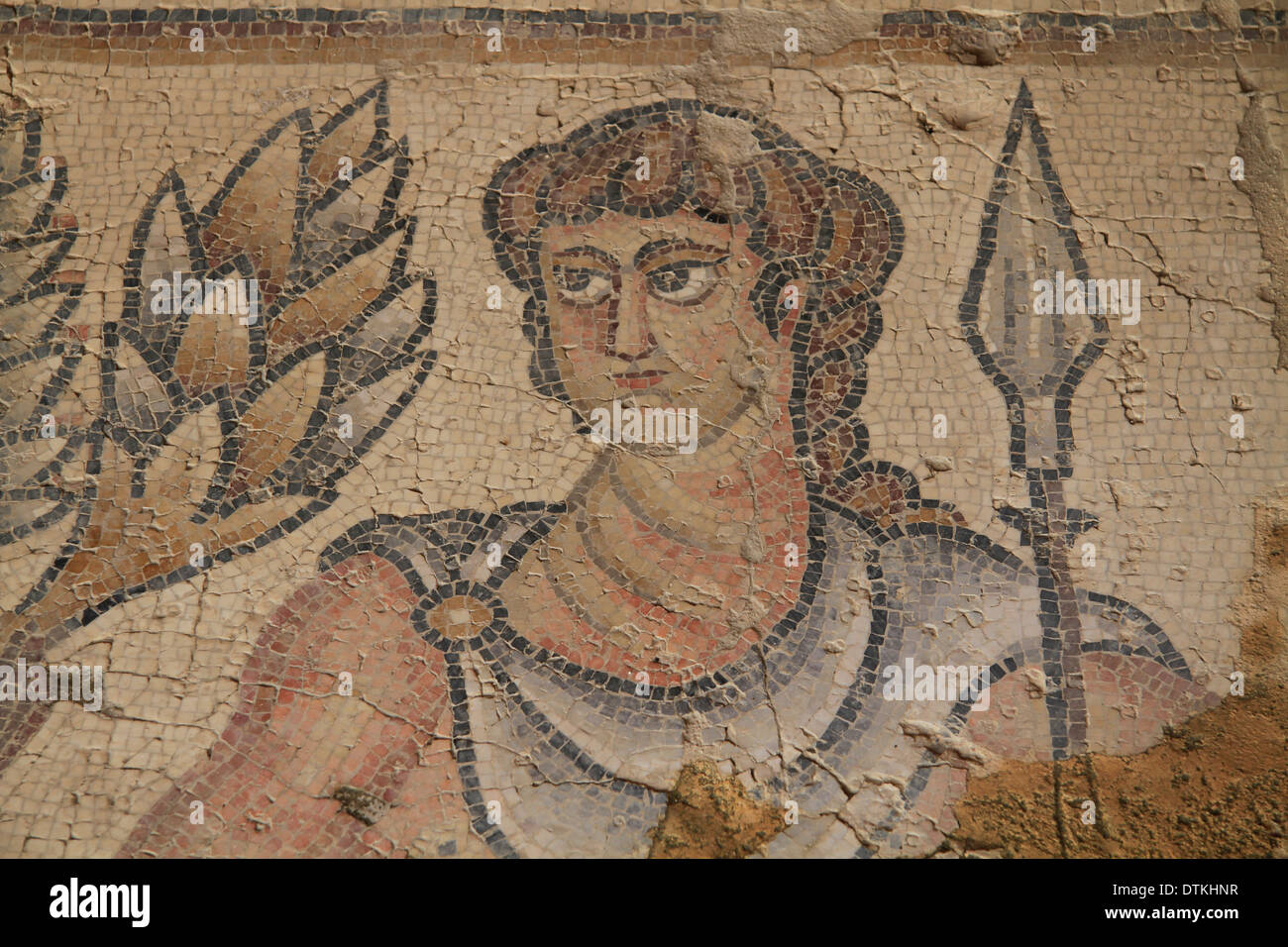 Israel, lower Galilee, mosaic at the Nile House in Zippori Stock Photo