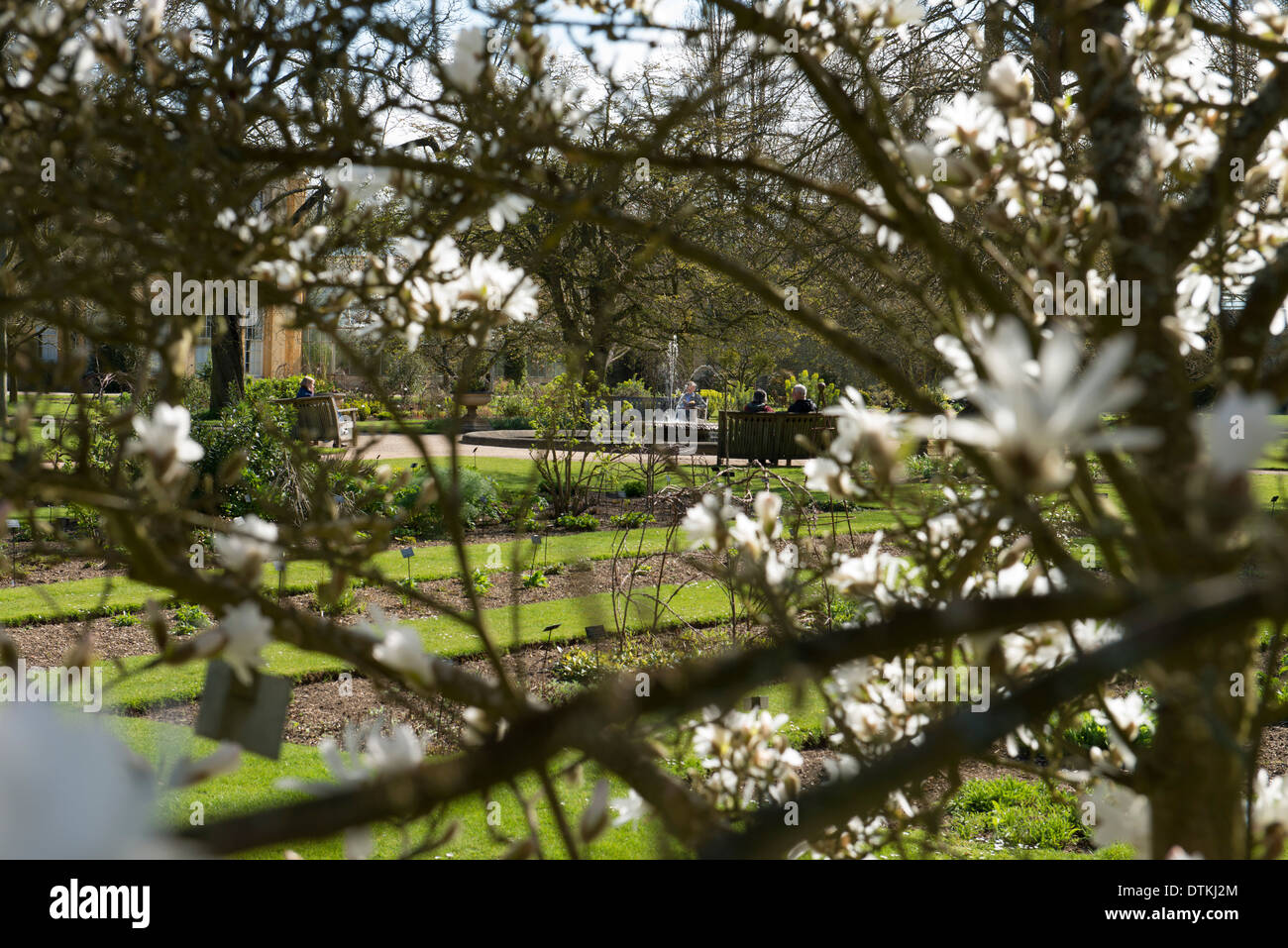 View through trees in th Botanic Garden Oxford Stock Photo