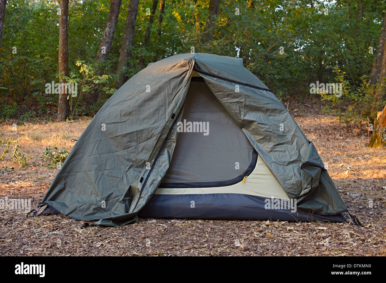 Green tent in the forest Stock Photo - Alamy