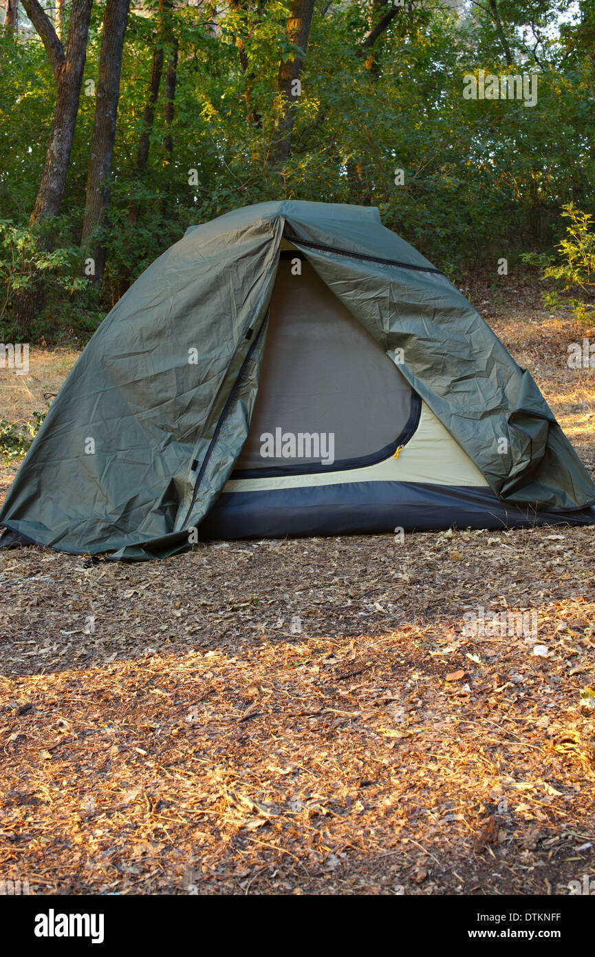 Green tent in the forest Stock Photo - Alamy
