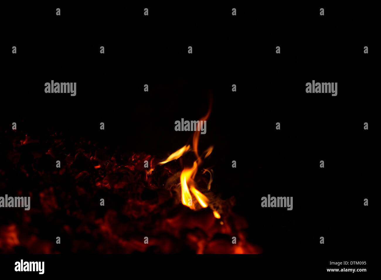 flames from the coals on a black background Stock Photo