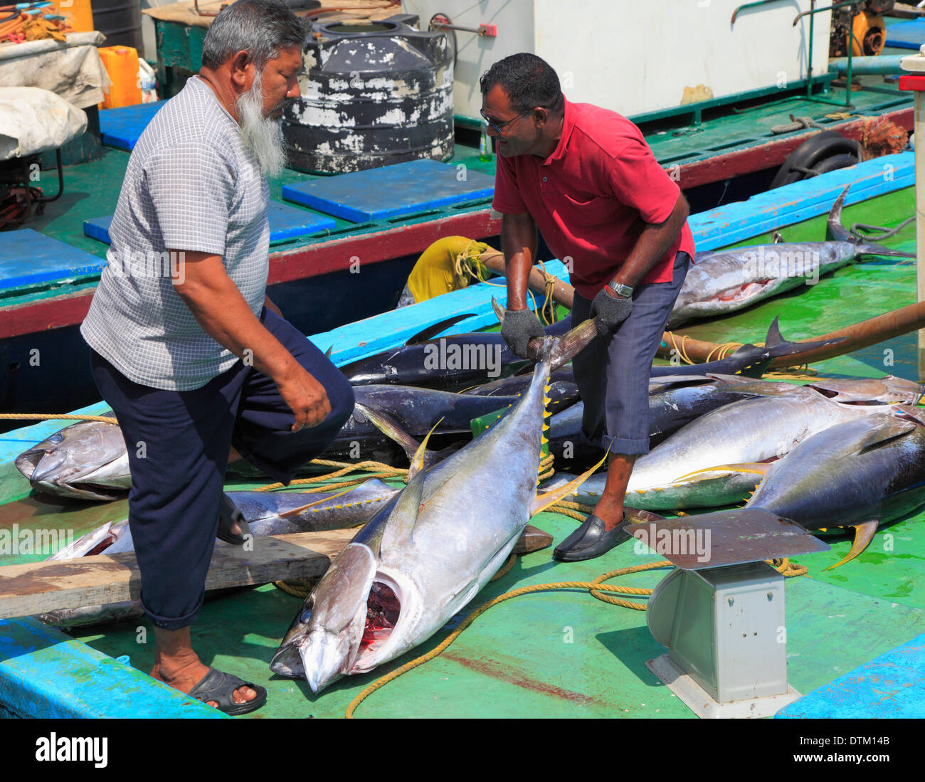 Maldives, Male, fish market, tuna, fishermen Stock Photo Alamy