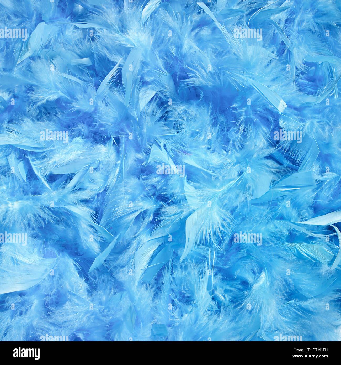 Fluffy background. Blue feathers Stock Photo - Alamy