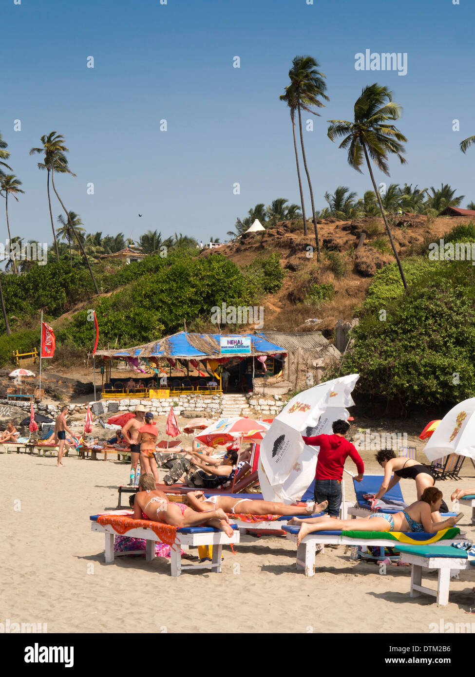 India, Goa, Big Vagator beach, Russian women tourists on sunloungers at bar below tall coconut palm trees Stock Photo