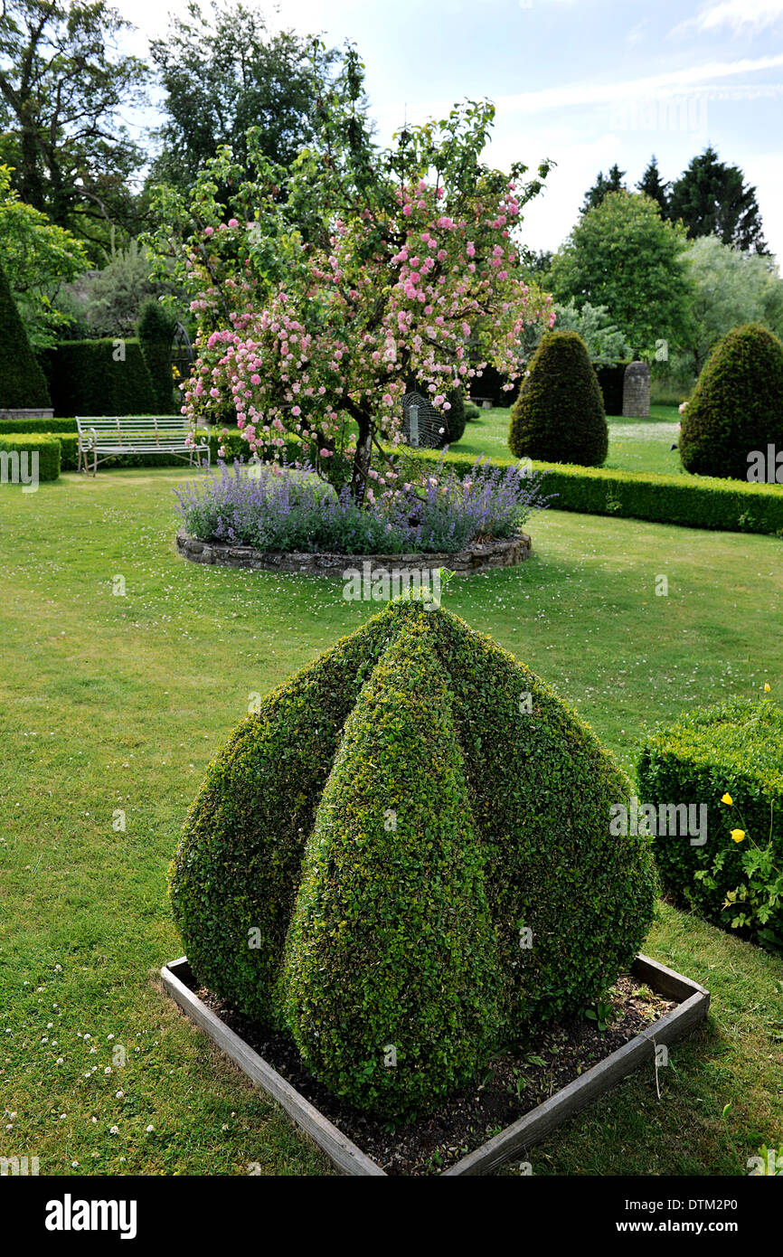 Topiary hedge in private garden in the small village of Nunney, Somerset, an English Garden in rural Somerset Stock Photo