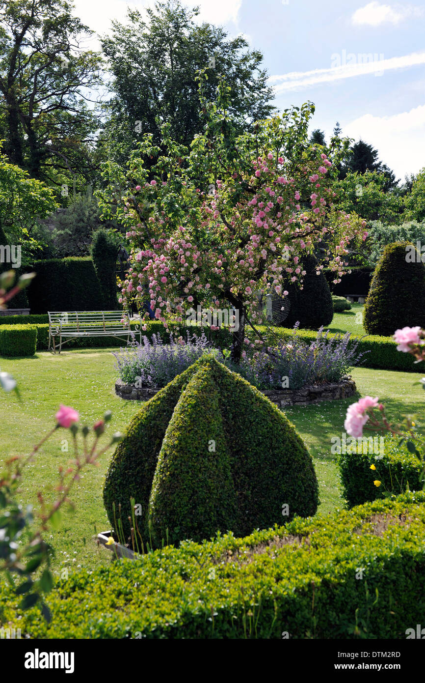 Topiary hedge in private garden in the small village of Nunney, Somerset, an English Garden in rural Somerset Stock Photo