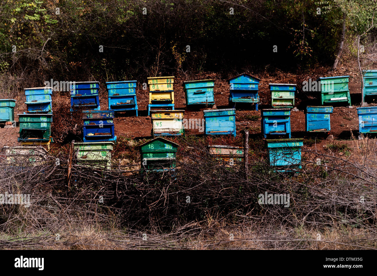 Traditional beehives hi-res stock photography and images - Alamy