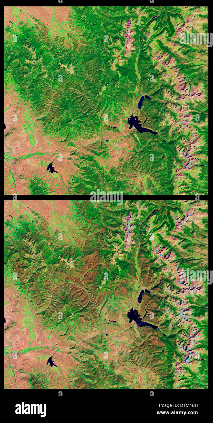 Pinebark beetle damage in pine forests of Colorado, USA as seen from NASA's Landsat satellite Stock Photo