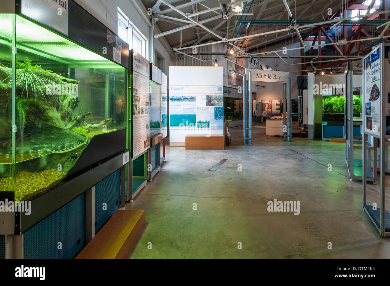 Inside the Estuarium, Dauphin Island, Alabama Stock Photo Alamy