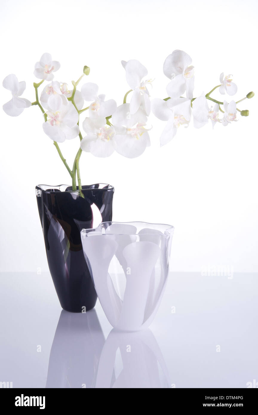 Black and white vases with flowers Stock Photo