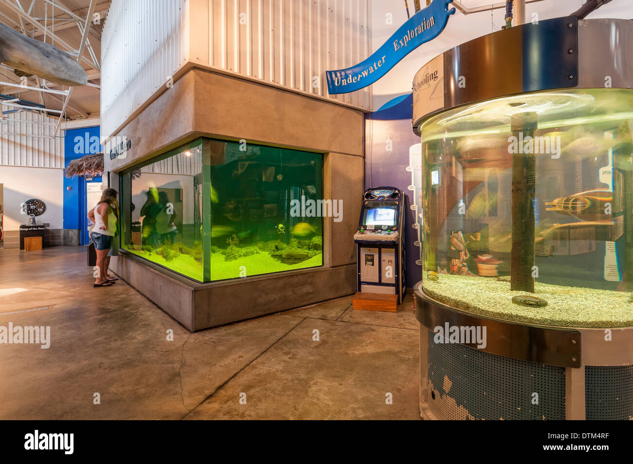 Dauphin island sea lab and estuarium hires stock photography and