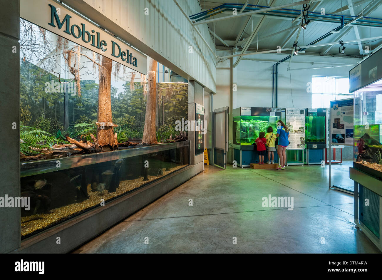 Inside the Estuarium, Dauphin Island, Alabama Stock Photo 66825693 Alamy