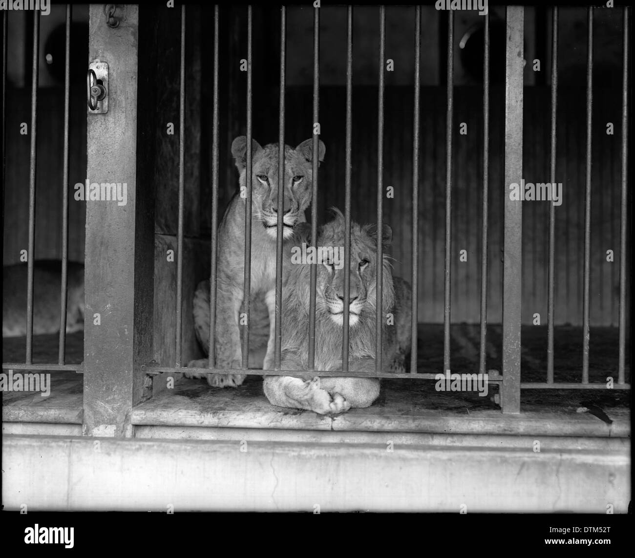 Old zoo los angeles hi-res stock photography and images - Alamy