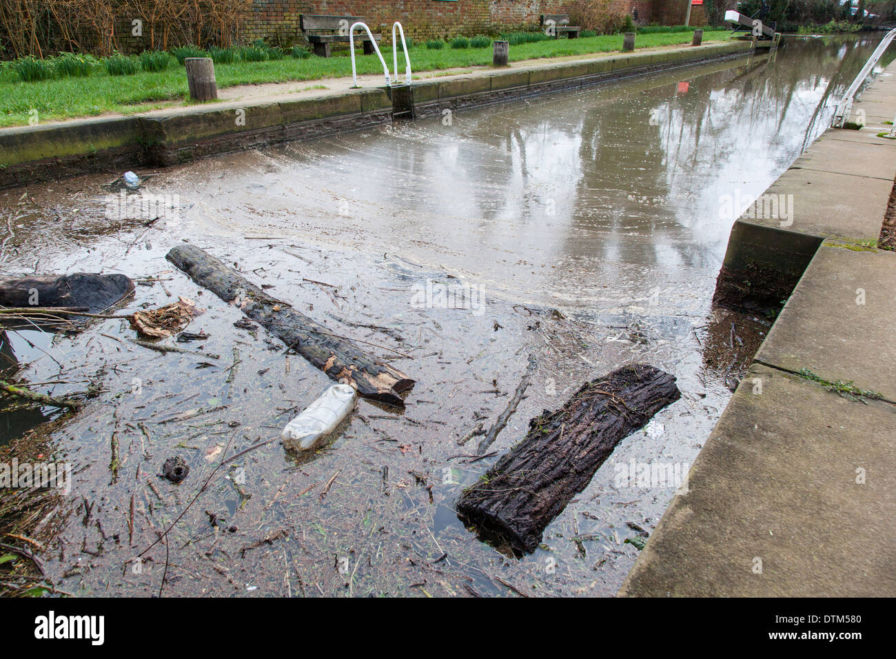 Wood, plastic bottles and other rubbish and detritus float on the surface of the Wey Navigation canal following severe floods. Stock Photo