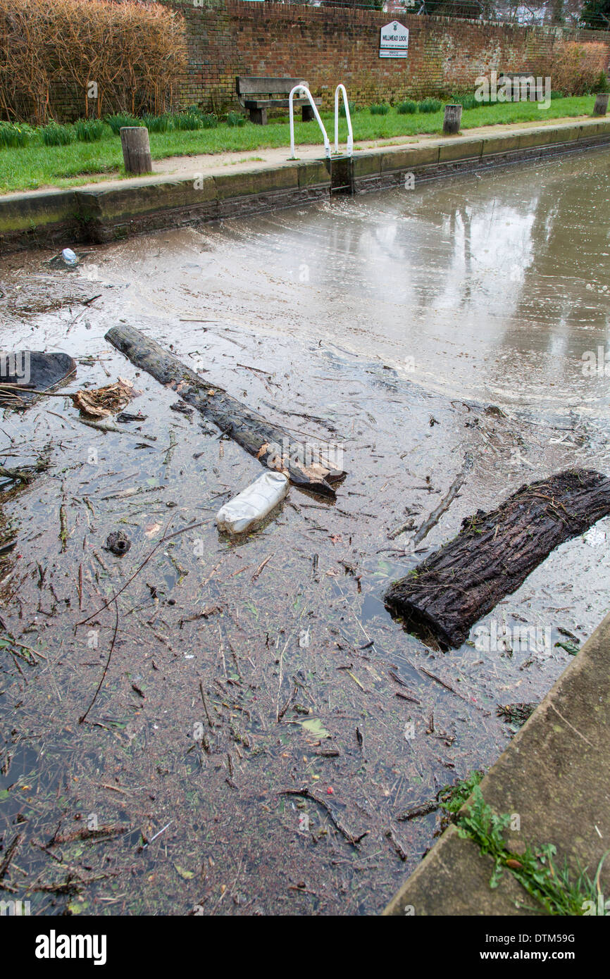 Wood, plastic bottles and other rubbish and detritus float on the surface of the Wey Navigation canal following severe floods. Stock Photo