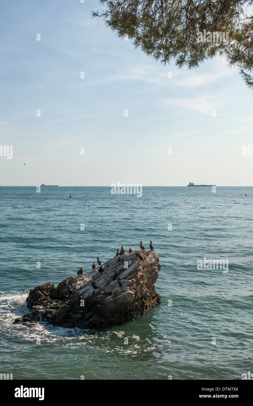 Adriatic sea in Trieste,Italy Stock Photo