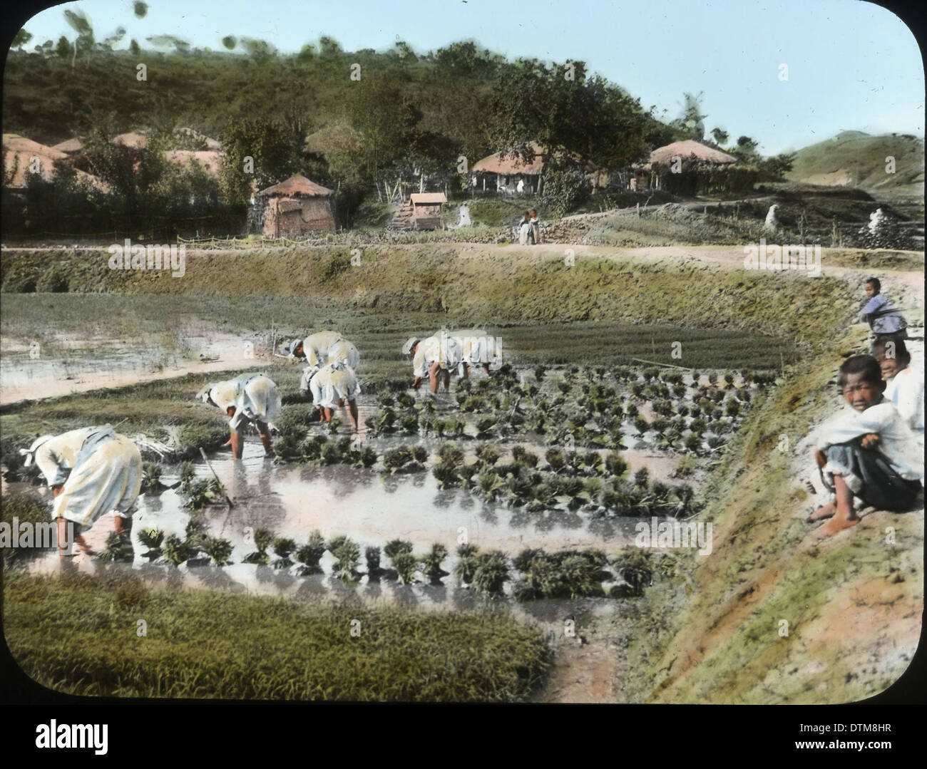 Korean Rural Man A photograph showing a rural village and farms in Korea, taken at an ...