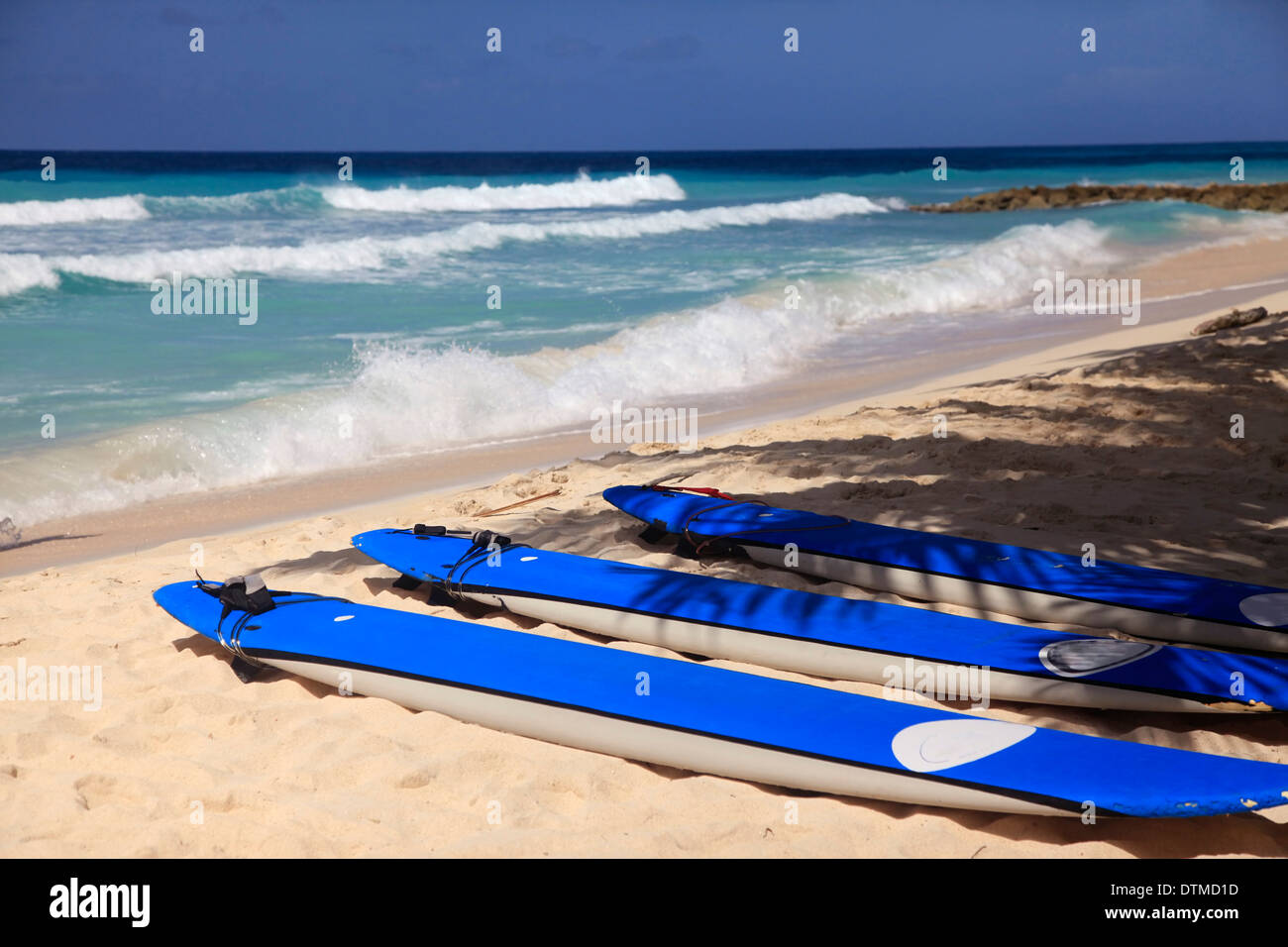 Surfboards at Dover beach on island Barbados on sandy shore by ocean
