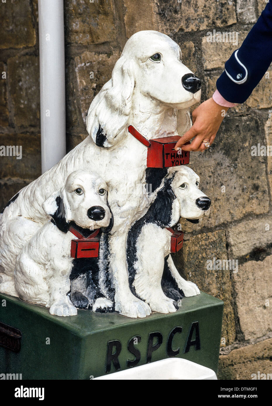 Donations to RSPCA collection boxes like this one in the Cotswolds of England help support the Royal Society for the Prevention of Cruelty to Animals. Stock Photo