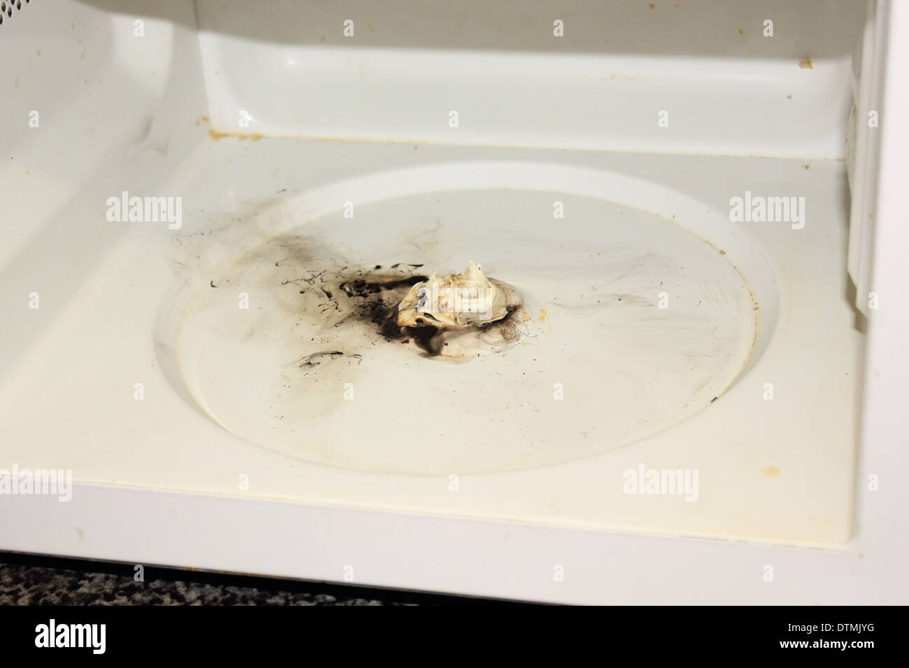 Why did my microwave catch on fire at georgia lai blog