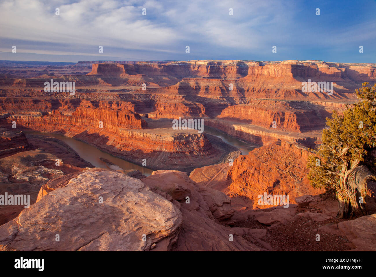 Dawn over the Colorado River from Dead Horse Point, Canyonlands State Park, Utah, USA Stock Photo